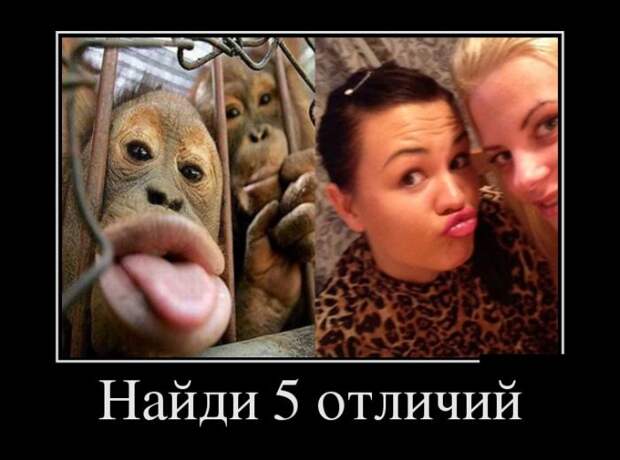 Демотиваторы демотиваторы