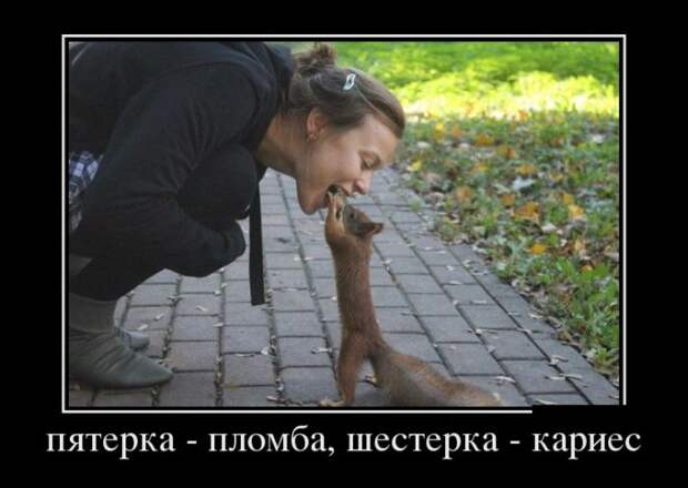 Демотиваторы (30 фото)