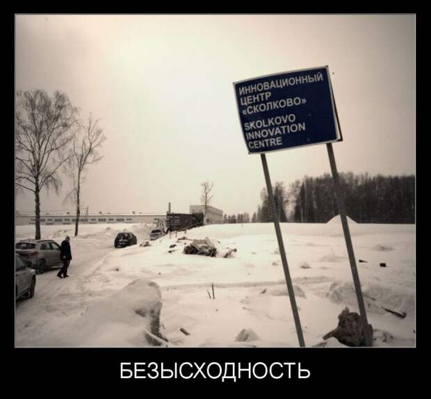 Демотиваторы демотиваторы, картинки, приколы