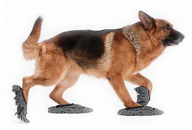 CLEANING-SLIPPERS