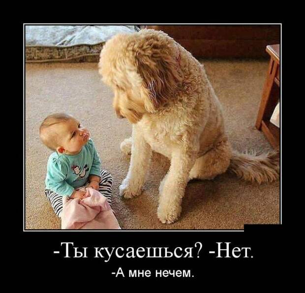 Демотиваторы (30 фото)