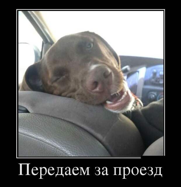 Демотиваторы (30 фото) Демотиваторы (30 фото)