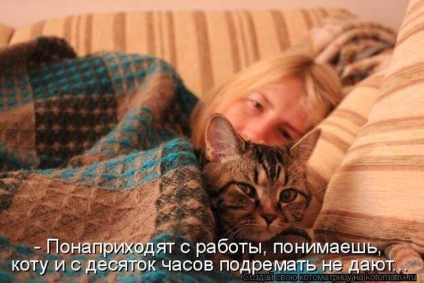Лучшие котоматрицы - прикольные картинки Лучшие котоматрицы - прикольные картинки