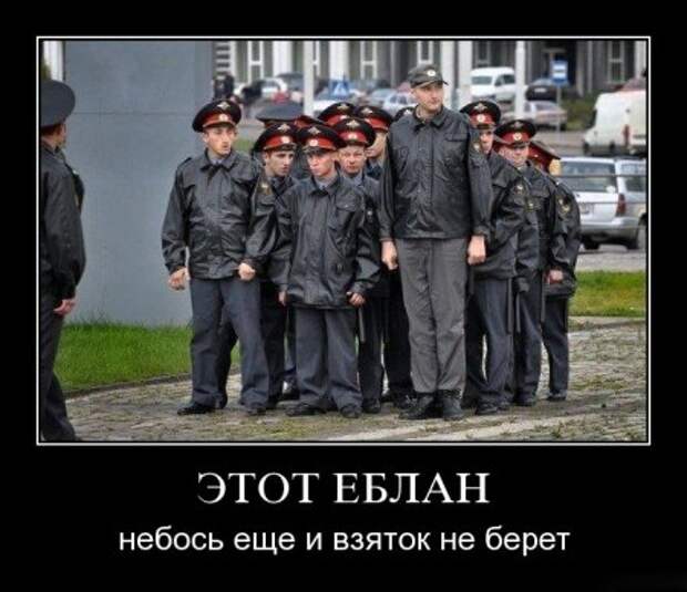Демотиваторы смешные.