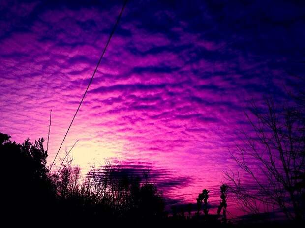 purple-sky-610x457