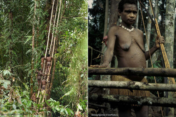 Короваи: люди, живущие на деревьях народы, племя