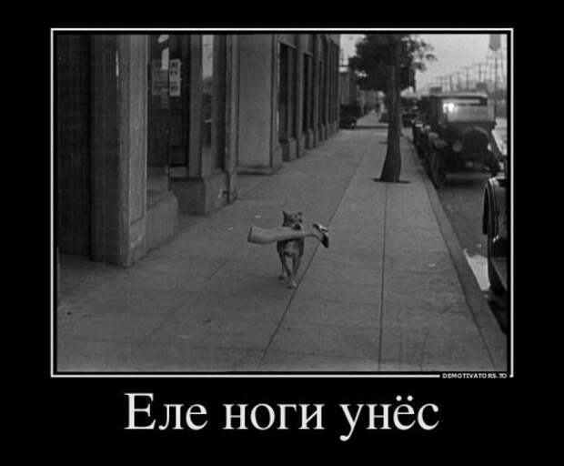 Новые демотиваторы. Смотрим новую подборку Новые демотиваторы. Смотрим новую подборку
