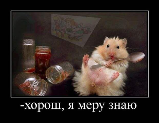 Демотиваторы (30 фото)