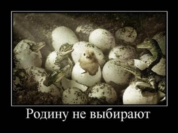 Демотиваторы про людей и любовь со смыслом.