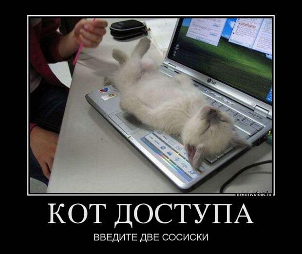 Демотиваторы  демотиваторы, прикол, смех, юмор