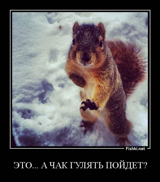 Демотиваторы демотиваторы, прикол, смех, юмор