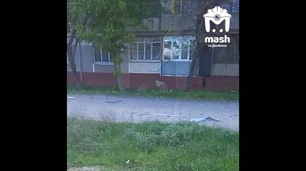 Video: MovaviClips_Video_20250428-152414.mp4