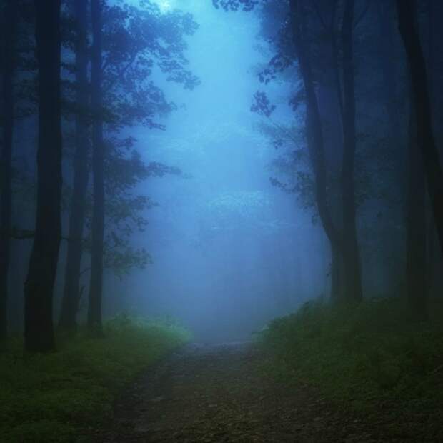 Красивые фотографии чешского фотографа Janek Sedlar