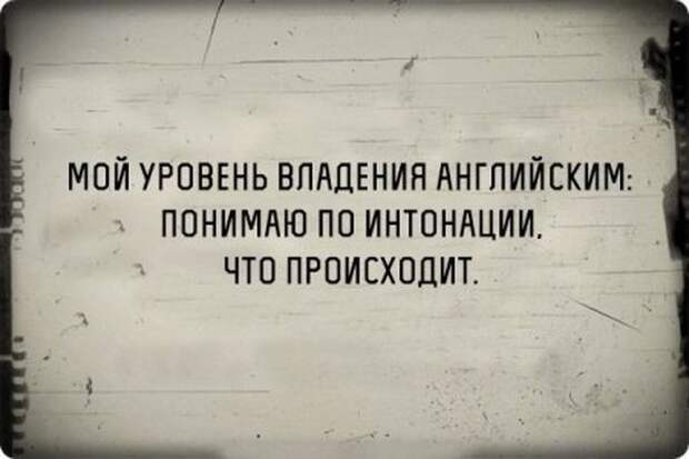 Классная порция цитат
