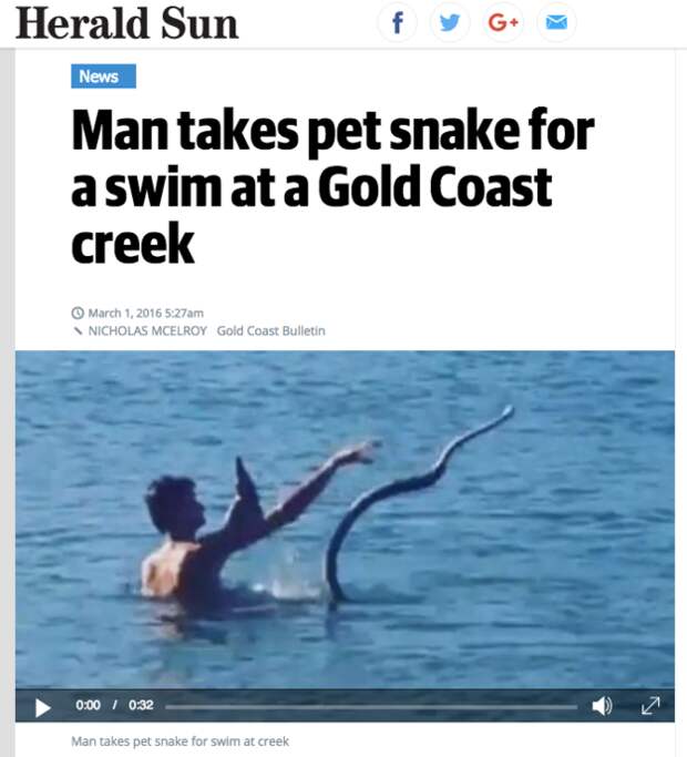Pets in Australia: