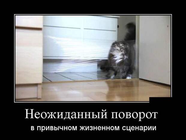 Неожиданный поворот в привычном жизненном сценарии демотиватор, юмор