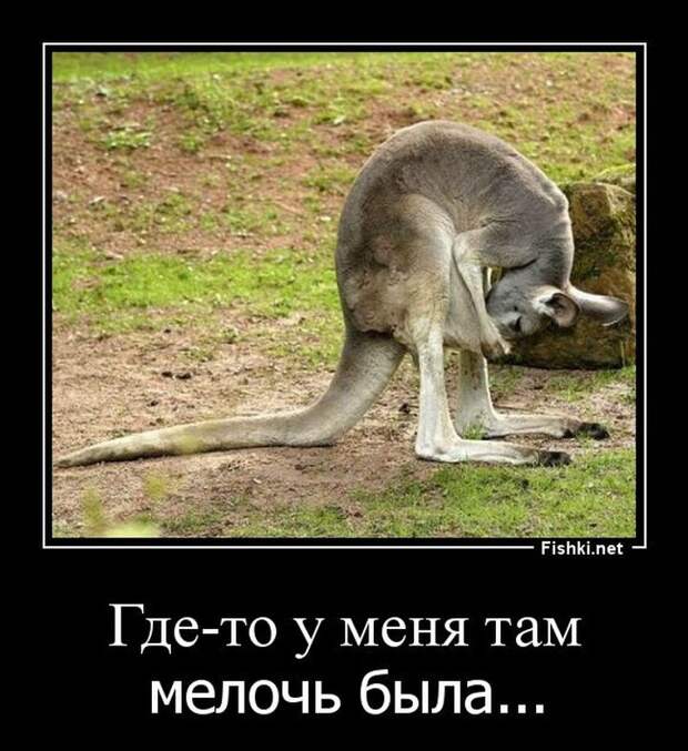 Демотиваторы демотиваторы, прикол, смех, юмор