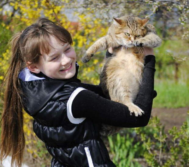 Забавные коты. часть 14 (30 фото)