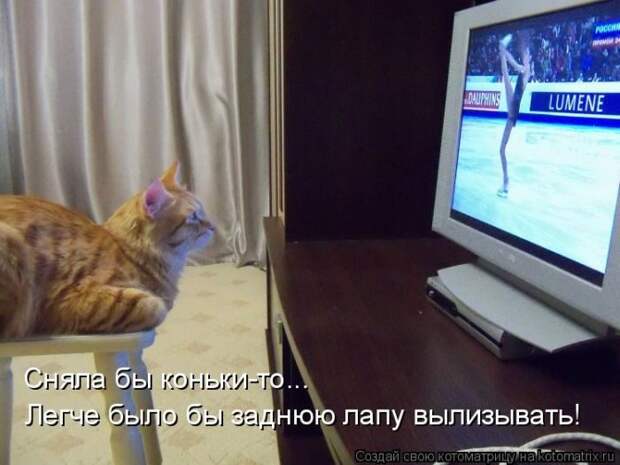 Лучшие котоматрицы недели