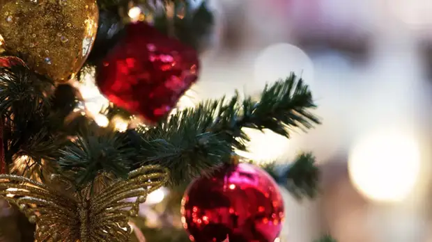 Исследование: проведение новогодних корпоративов обойдётся компаниям в 4—5 млн рублей