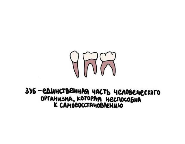 Разные интересные факты на все случаи жизни