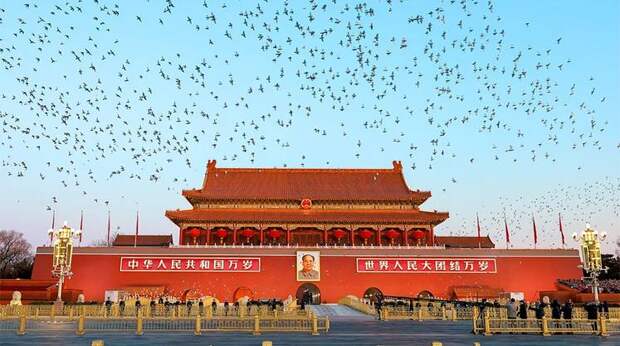 Танцы китайских теней