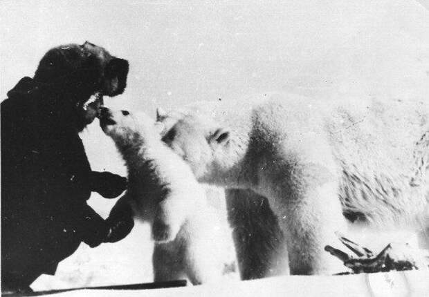 Как пограничники кормили медведей сгущёнкой, 1980-е