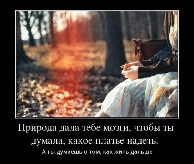 Демотиваторы №1187 (30 фото) Демотиваторы №1187 (30 фото)