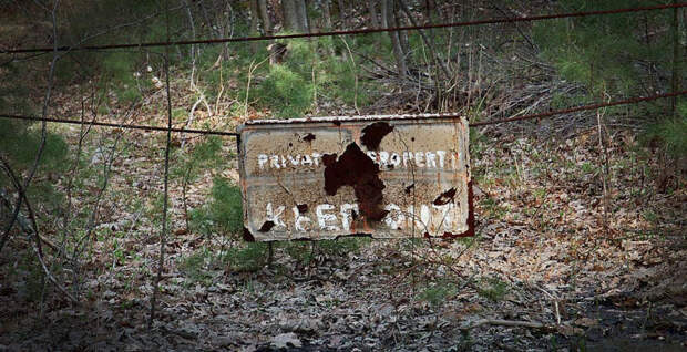 Семь самых страшных лесов планеты creepyforests10 Семь самых страшных лесов планеты
