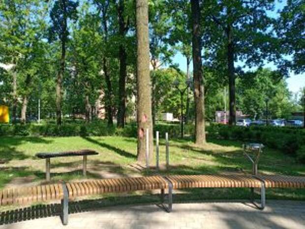 Музыкальные площадки открыли в парках Москвы