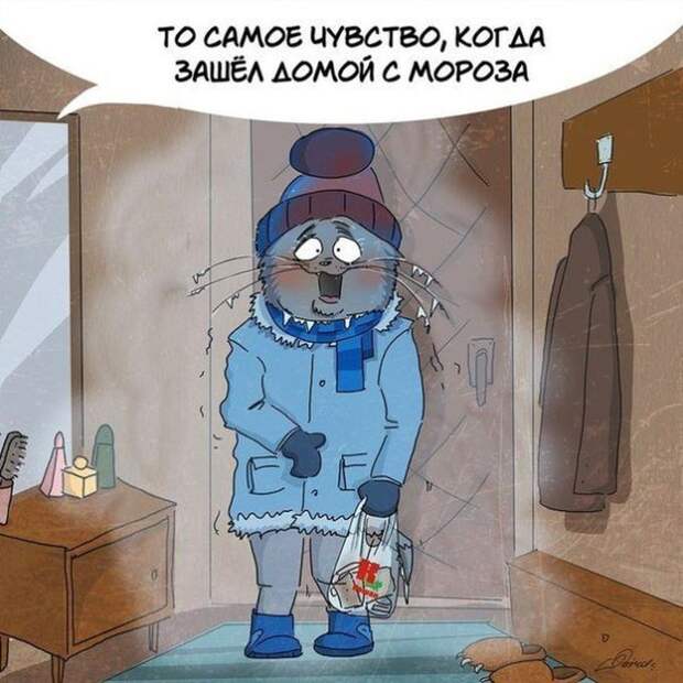 10 доказательств того, что зима ничем не хуже лета зима, лето