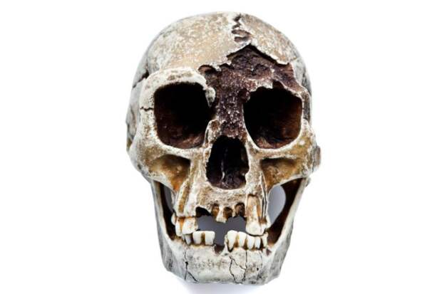 Первый найденный скелет оказался двуногим приматом, ростом чуть выше метра и весом около 30 кг. Возраст останков датируется между 38 и 18 тысячами лет.