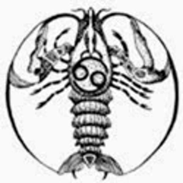 clip_image005