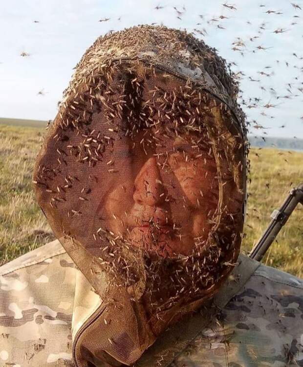 Да что вы знаете о комарах?