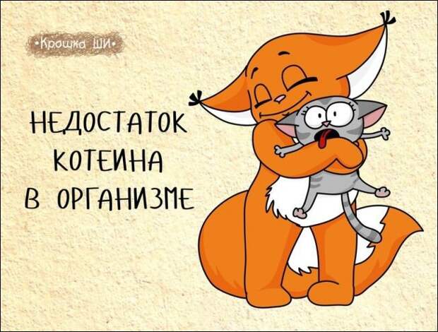 Девичья правда от белки Ши Девичья правда от белки Ши белка, рисунки