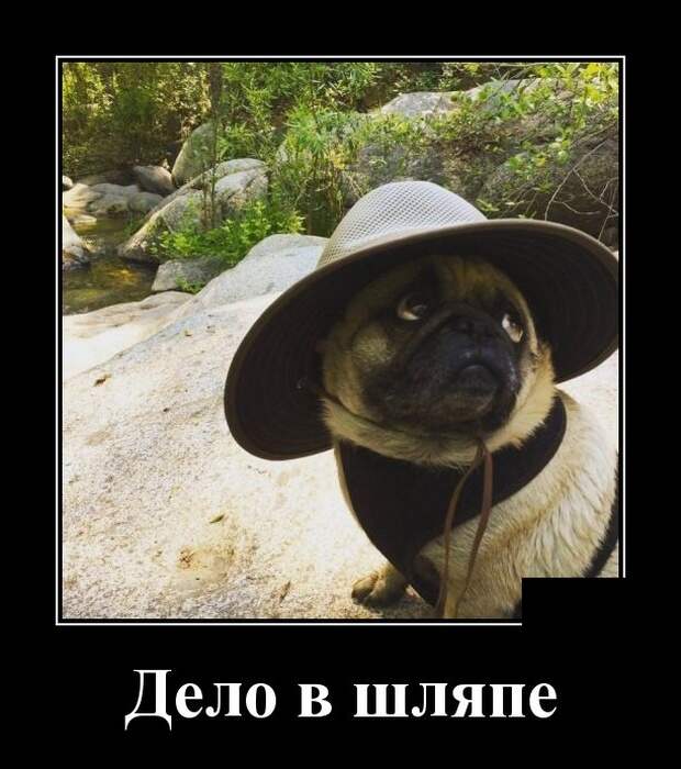 Демотиваторы (30 фото)