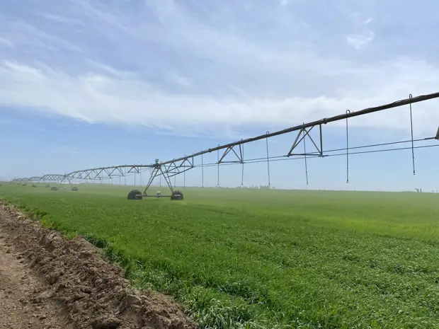 Первый крымский сельхозпроизводитель начинает получать воду из Северо-Крымский канал