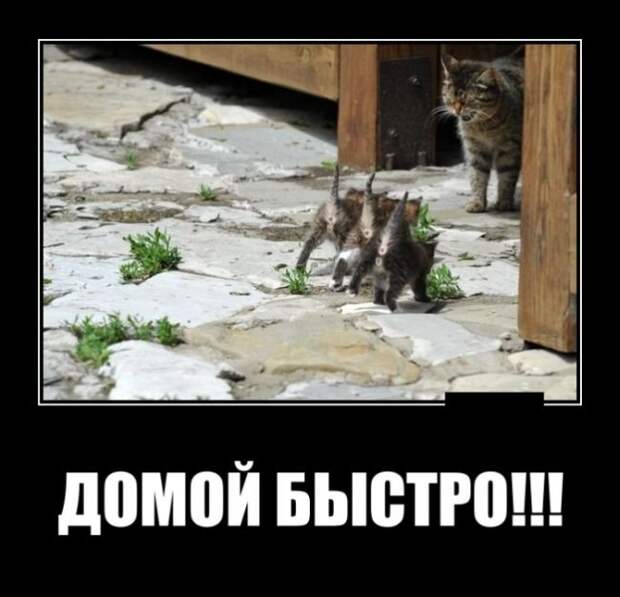 Демотиваторы (30 фото)