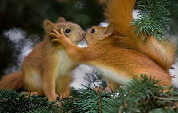 Позитивный пост+16