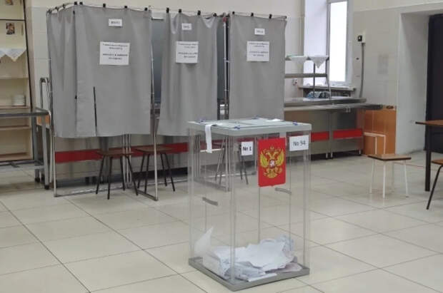 Британского парламентария лишили поста из-за участия в российских выборах