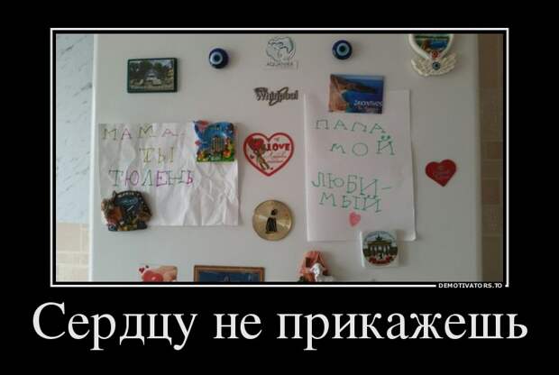 Подборка  демотиваторов демотиваторы, юмор