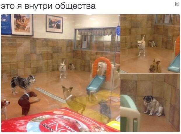 Смешные и курьёзные фото из жизни 19