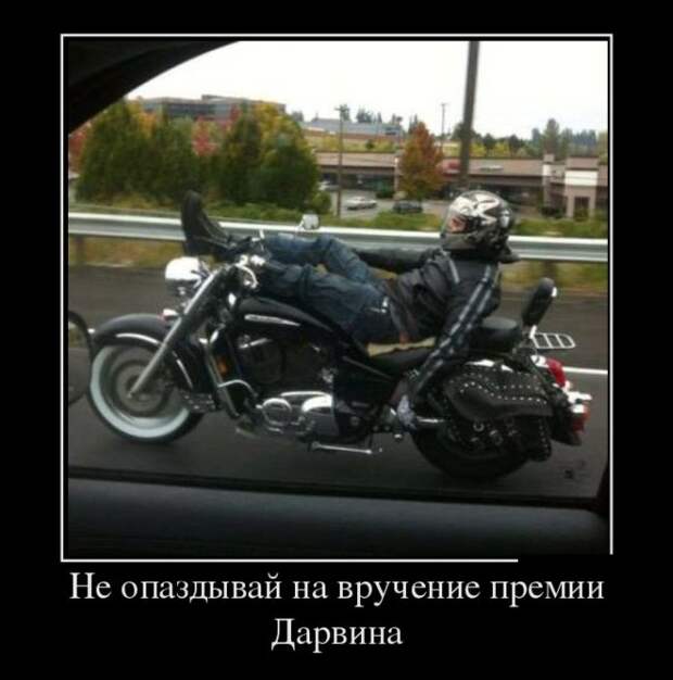 Демотиваторы (30 фото)