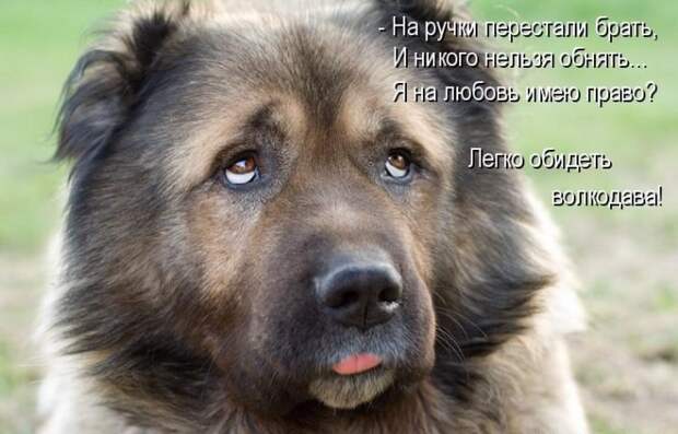 Давайте улыбаться вместе! :) №241014
