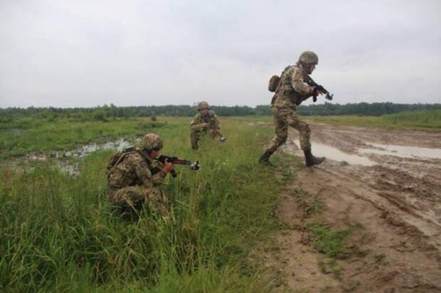 Украина решила сорвать перемирие.