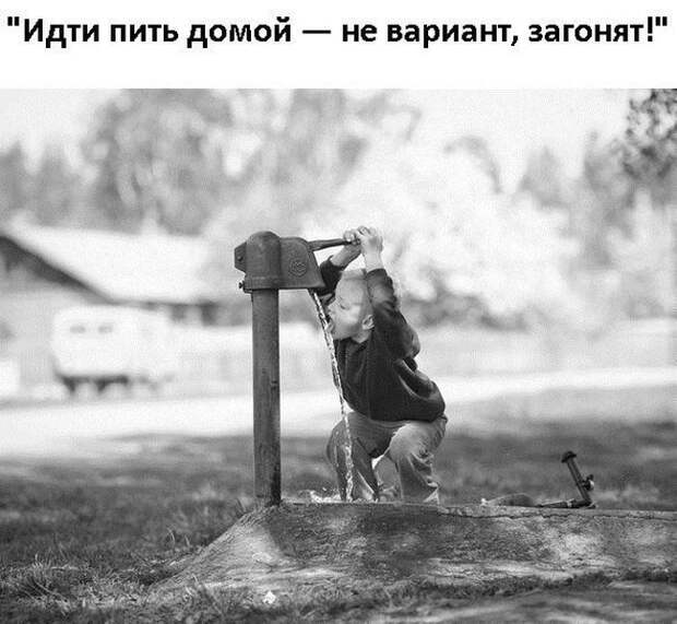 Забавные картинки с надписями со смыслом (12 фото) Забавные картинки с надписями со смыслом (12 фото)