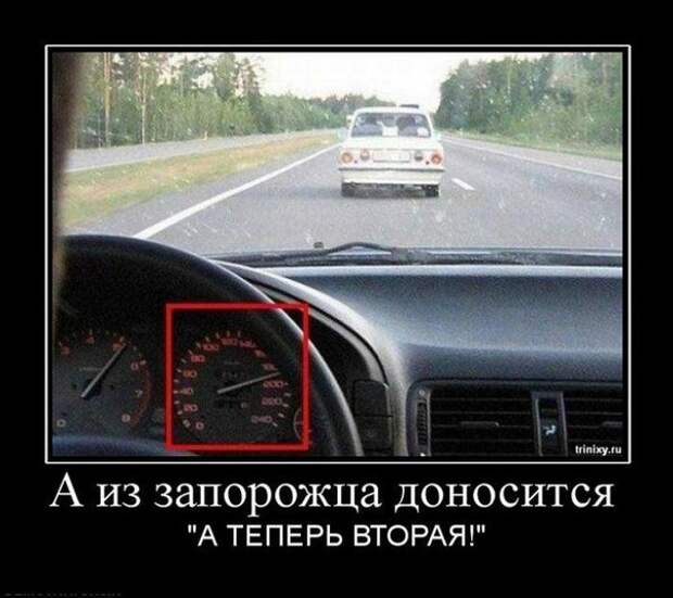 Демотиваторы Демотиваторы демотиваторы, прикол, юмор