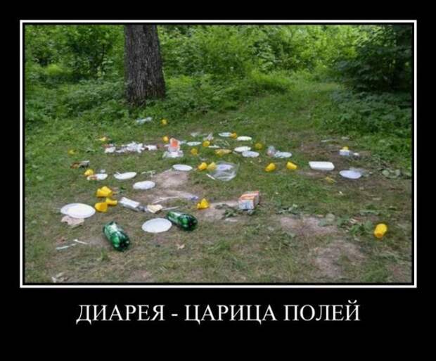Диарея - царица полей демотиватор, юмор