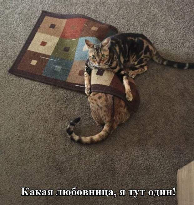 30 самых классных приколов дня. Рекомендую!