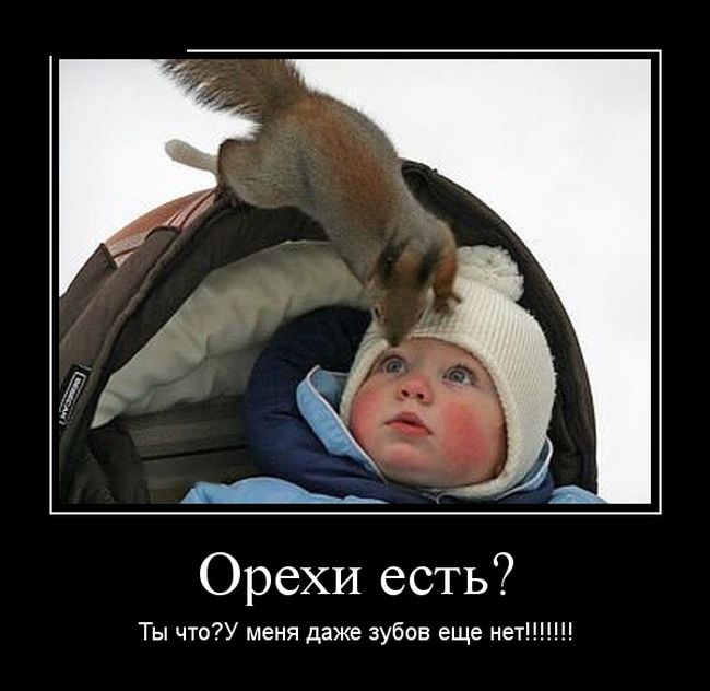 Демотиваторы №1101 (30 фото)